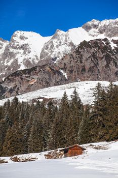 Winter in the Alps, Austria. Vertical shot