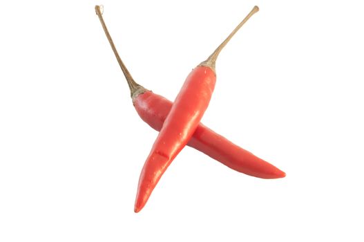 two red hot chili pepper in a white background