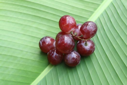 bunch of red grapes on banana leaf.