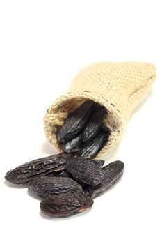 dried tonka beans on a white background