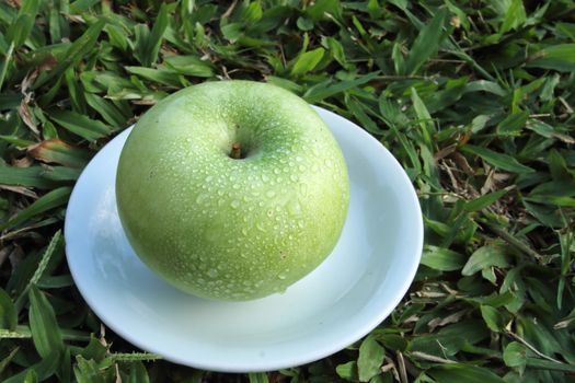 green apple on the white dish.