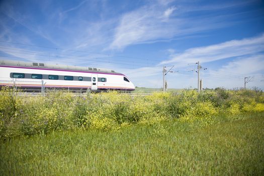 high speed train over flowers in a landscape from Spain