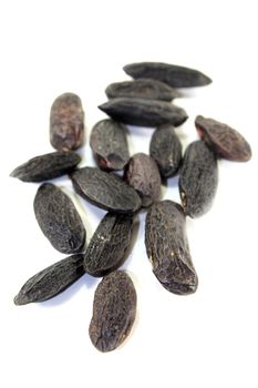 dried tonka beans on a white background