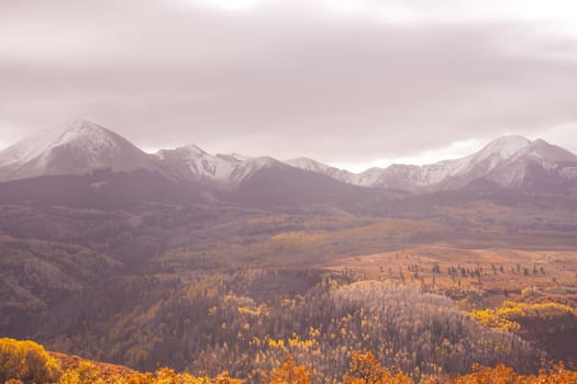 Manti-La Sal National Forest with La Sal Mountains on the horizon