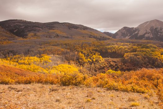 Manti La Sal National Forest with the La Sal Mountains on the horizon