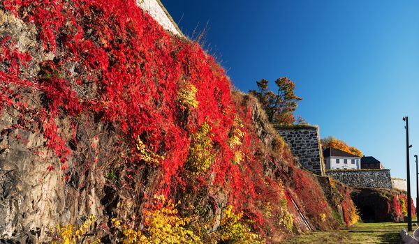 Akershus Fortress at Autumn, Oslo, Norway