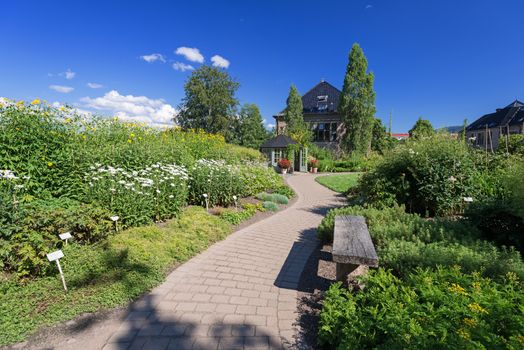 Botanical garden in Oslo