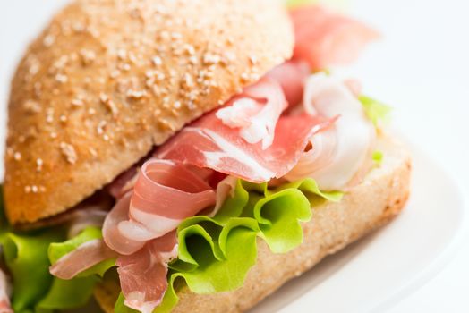 Prosciutto sandwich on plate close up. Selective focus, shallow DOF