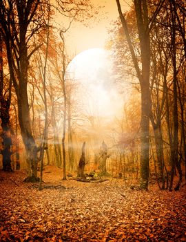 The moon in autumnn forest with fallen leaves. Elements of this image furnished by NASA