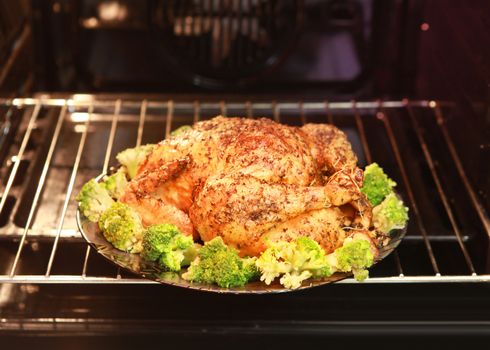 cooking roast turkey and cabbage in the oven