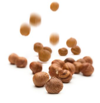 Hazelnuts on the white background