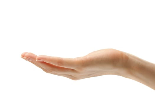 Female hand on a white background 