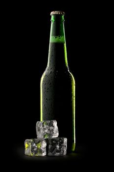 Bottle of beer with ice cubes