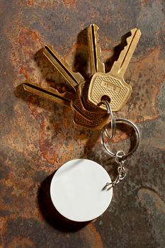 Keys with ring on the rusty background