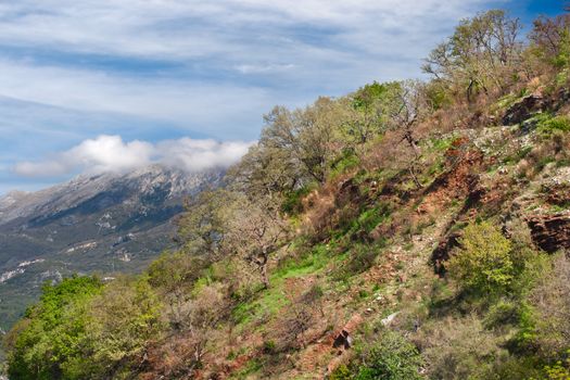 Mountain landscape in Montenegro