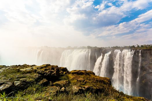 The Victoria falls is the largest curtain of water in the world (1708 meters wide). The falls and the surrounding area is the National Parks and World Heritage Site - Zambia, Zimbabwe