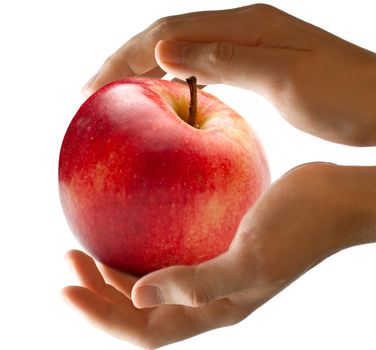Male hands holding red apple