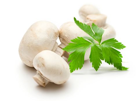 Champignon and parsley on white