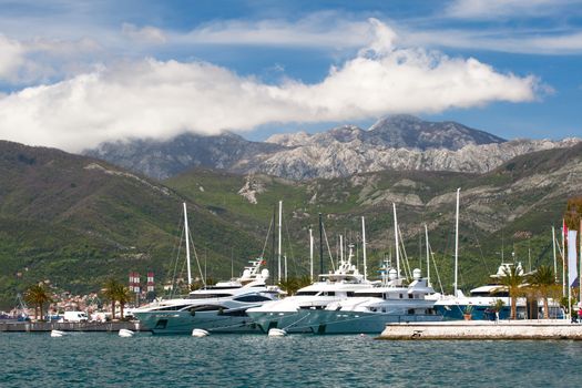 Yacht club in Montenegro
