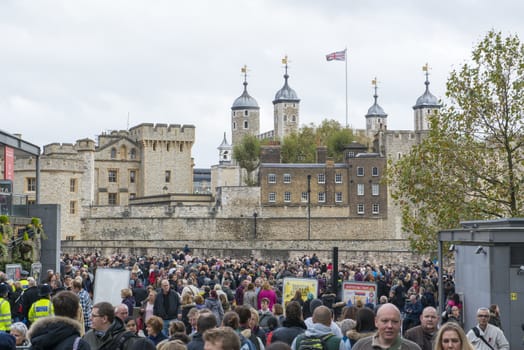 LONDON, UK - NOVEMBER 08: Crowd in front of Tower of London one day before remembrance day. November 08, 2014 in London. The public attended to admire the temporary ceramic poppies art installation.