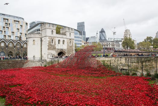 LONDON, UK - NOVEMBER 08: 'Blood Swept Lands and Seas of Red' installation at Tower of London. November 08, 2014 in London. The ceramic poppies were planted to mark the centenary of WWI's outbreak.