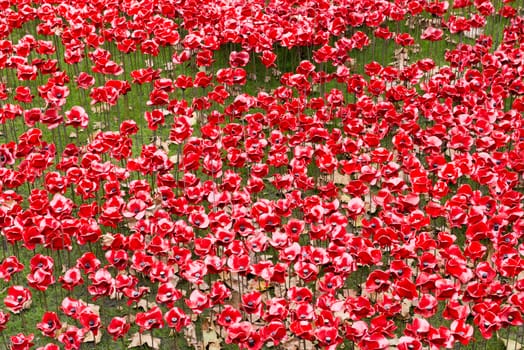 LONDON, UK - NOVEMBER 08: Detail of art installation by Paul Cummins at Tower of London. November 08, 2014 in London. The ceramic poppies were planted to mark the centenary of WWI's outbreak.
