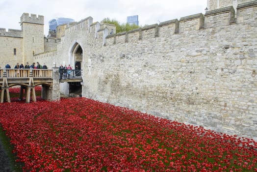 LONDON, UK - NOVEMBER 08: People admiring art installation by Paul Cummins at Tower of London. November 08, 2014 in London. The ceramic poppies were planted to mark the centenary of WWI's outbreak.