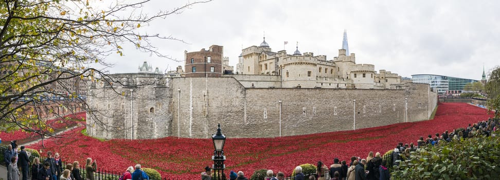 LONDON, UK - NOVEMBER 08: Panoramic of art installation by Paul Cummins at Tower of London. November 08, 2014 in London. The ceramic poppies were planted to mark the centenary of WWI's outbreak.
