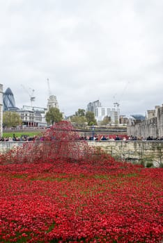 LONDON, UK - NOVEMBER 08: 'Blood Swept Lands and Seas of Red' installation at Tower of London. November 08, 2014 in London. The ceramic poppies were planted to mark the centenary of WWI's outbreak.