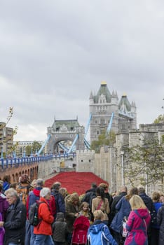 LONDON, UK - NOVEMBER 08: Crowd admiring art installation by Paul Cummins at Tower of London. November 08, 2014 in London. The ceramic poppies were planted to mark the centenary of WWI's outbreak.