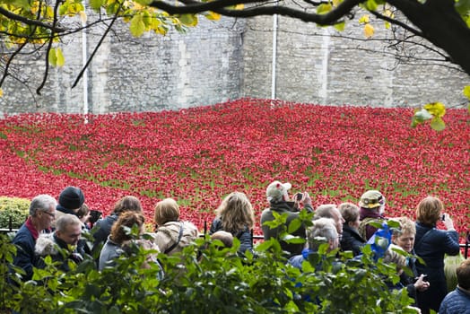 LONDON, UK - NOVEMBER 08: Crowd admiring art installation by Paul Cummins at Tower of London. November 08, 2014 in London. The ceramic poppies were planted to mark the centenary of WWI's outbreak.