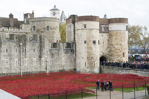LONDON, UK - NOVEMBER 08: 'Blood Swept Lands and Seas of Red' installation at Tower of London. November 08, 2014 in London. The ceramic poppies were planted to mark the centenary of WWI's outbreak.