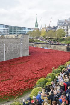 LONDON, UK - NOVEMBER 08: Crowd admiring art installation by Paul Cummins at Tower of London. November 08, 2014 in London. The ceramic poppies were planted to mark the centenary of WWI's outbreak.