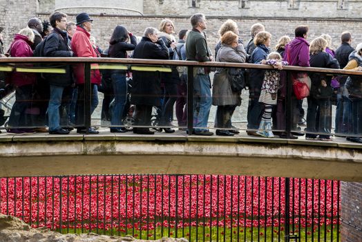 LONDON, UK - NOVEMBER 08: People queueing to see red poppies art installation at Tower of London. November 08, 2014 in London. The ceramic poppies were planted to mark the centenary of WWI's outbreak.