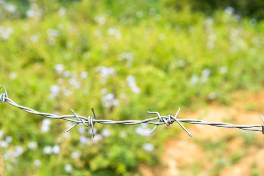 Barb wire before the green field with flowers bokeh