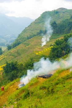 Popular methods that many farmer is burn the crops before take a new planted