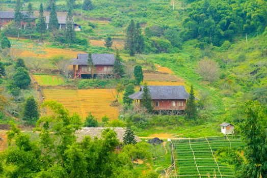 Beautiful View of mountains contain lot of terraced fields