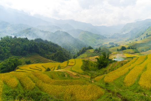 Beautiful View of mountains contain lot of terraced fields