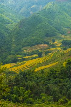 Beautiful View of mountains contain lot of terraced fields