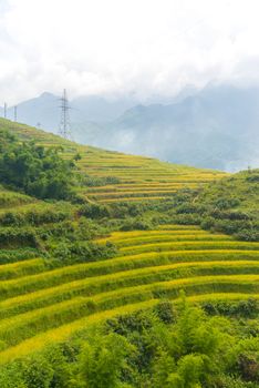 Beautiful View of mountains contain lot of terraced fields