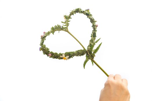 Hand holding Knitted heart with leaves handmade have little flowers isolated on white background