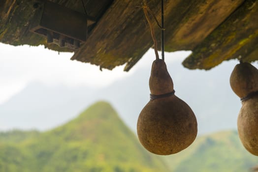 Gourds hanging from the ceiling of a house