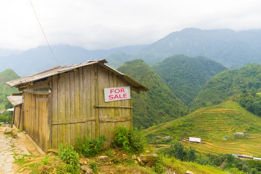 Wooden house with a sign for sale among Nature valley