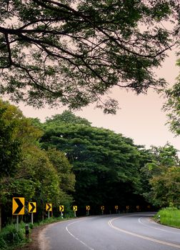 Road in forest with curve sign