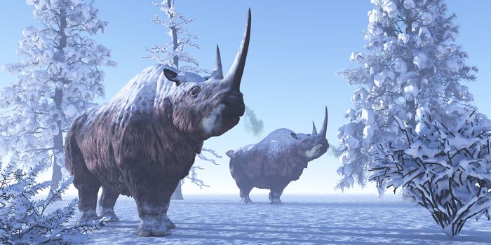 Woolly Rhino males keep each other company during a snowy winter in the Pleistocene Period.