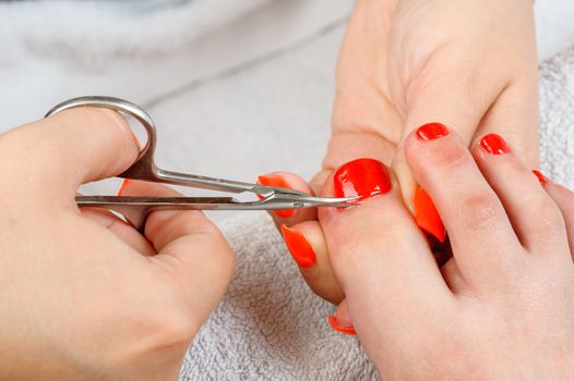 cutting cuticlle on toe with scissors, pedicure process closeup