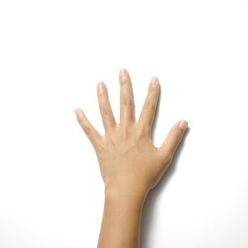 woman open hand symbol on a white background