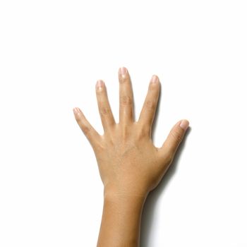 woman open hand symbol on a white background