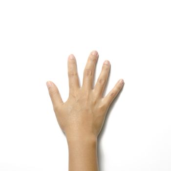 woman open hand symbol on a white background