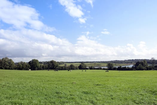 green lush farmland fields and countryside of county Longford Ireland